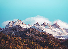 足球新闻-克劳奇：马内和萨拉赫只是同事 他俩用不着当朋友